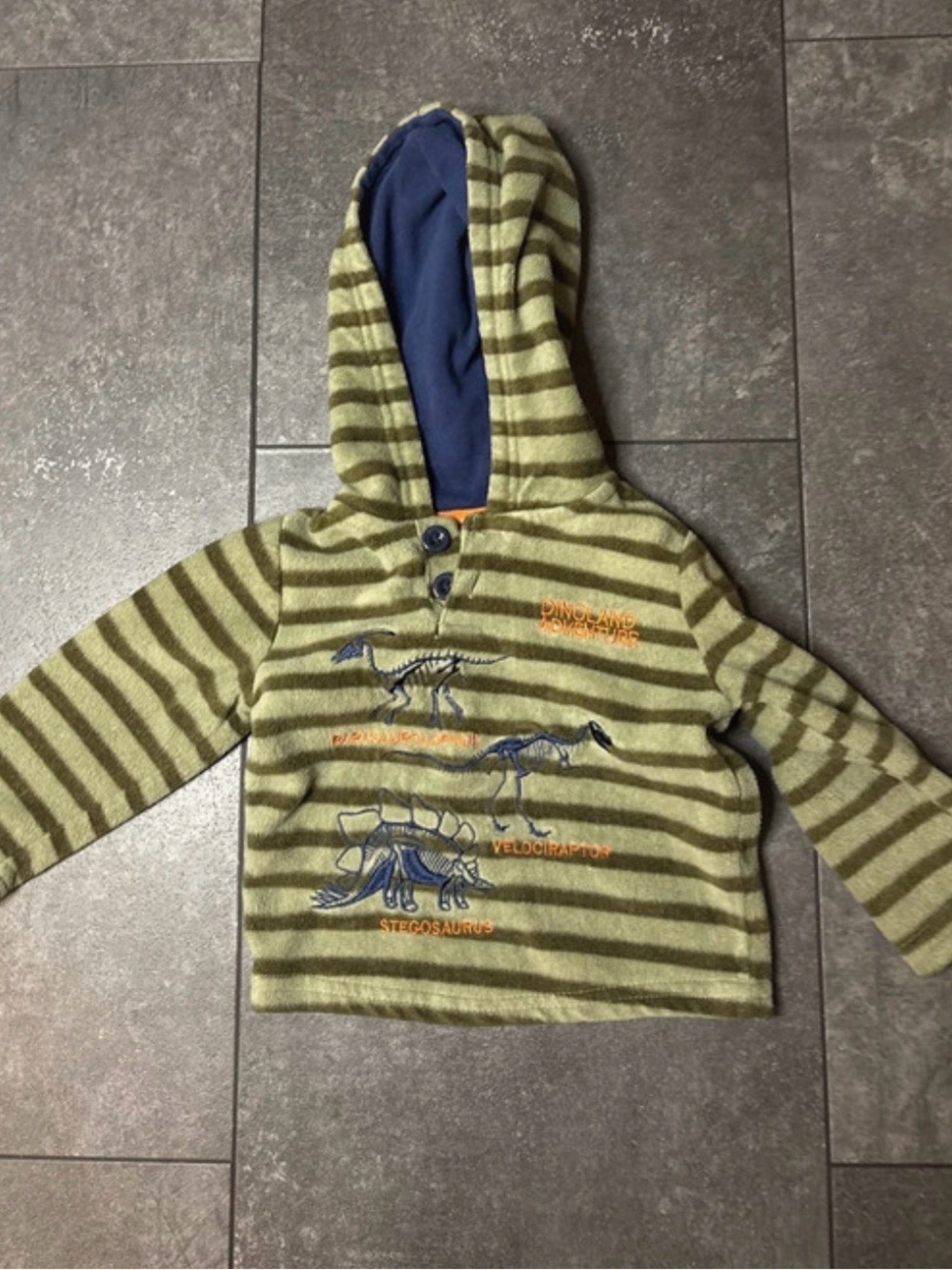 Dinosaur Embroidery hoodie